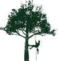 Tree pruning illustration